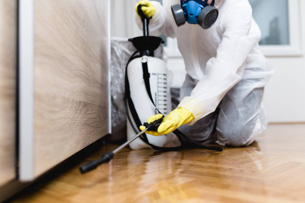 Best Mosquito Control Services  in St Bernard, OH
