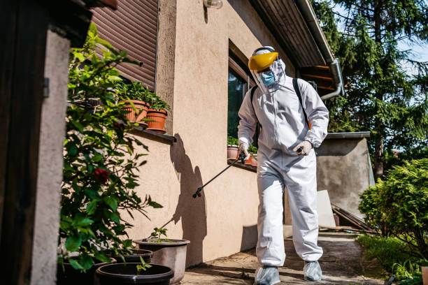 Best Insect Control  in St Bernard, OH