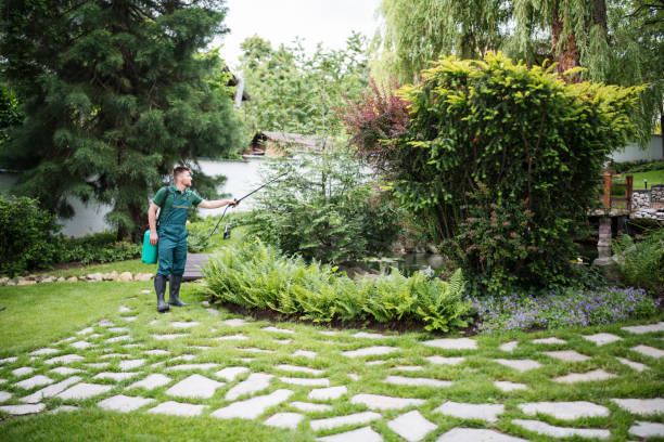 Best Affordable Pest Control Services  in St Bernard, OH